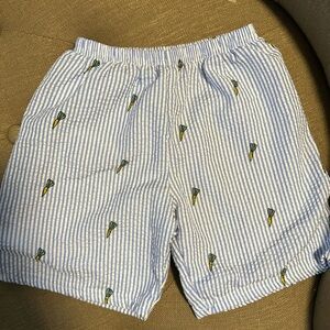 Blue Striped Boy’s Shorts with Carrots